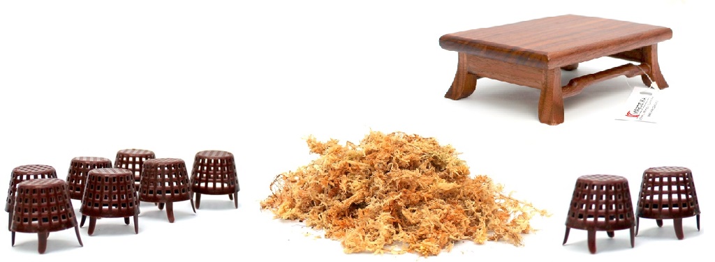 shohin bonsai fak a marczika bonsai studio bonsai kerteszetebol webaruhazabol